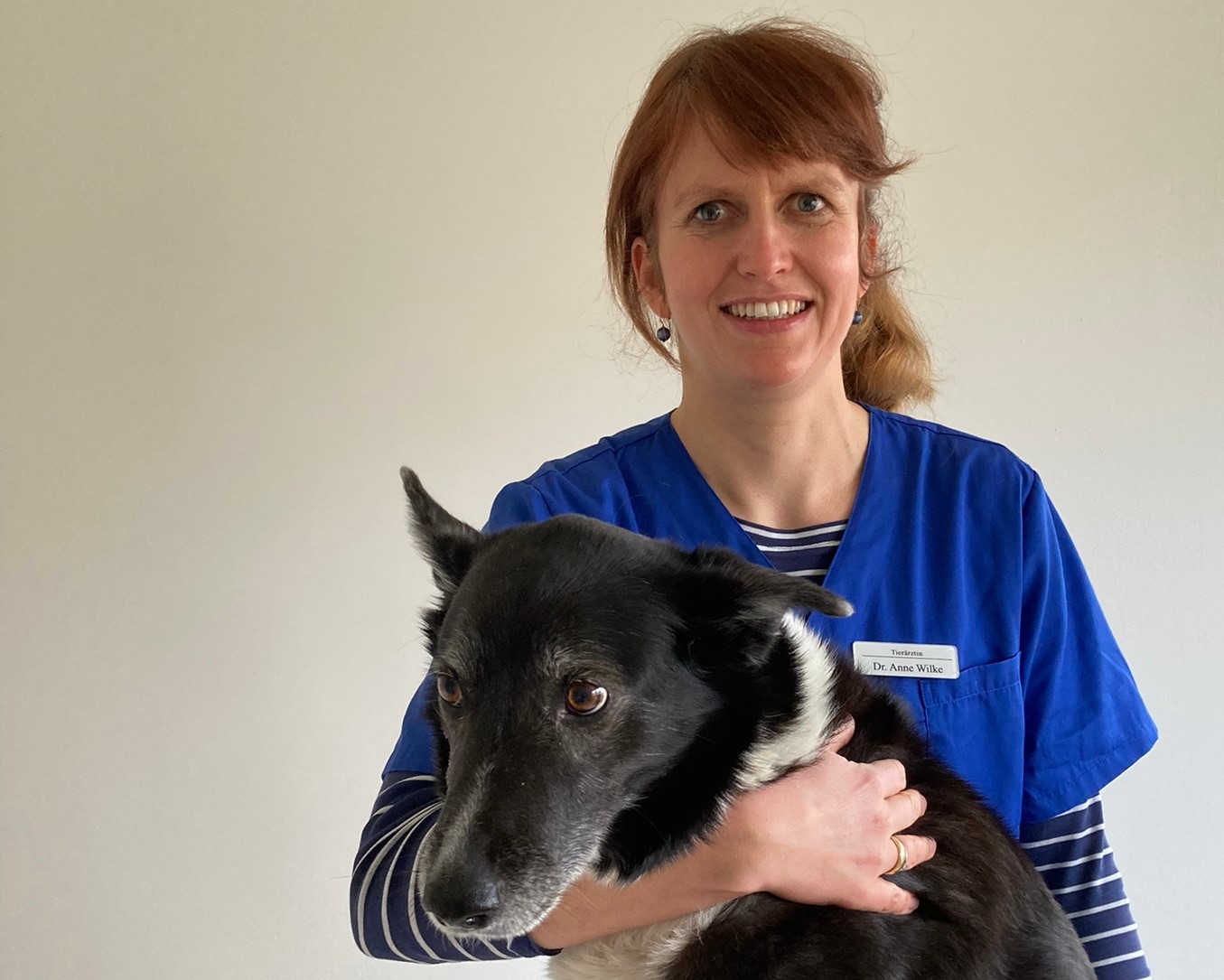 Dr. Med. Vet. Anja Rosengarten Tierarztpraxis Tierarztpraxis Hermshof - Unser Team stellt sich vor